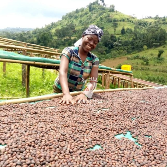 2019/2020 Harvest Season Has Started;