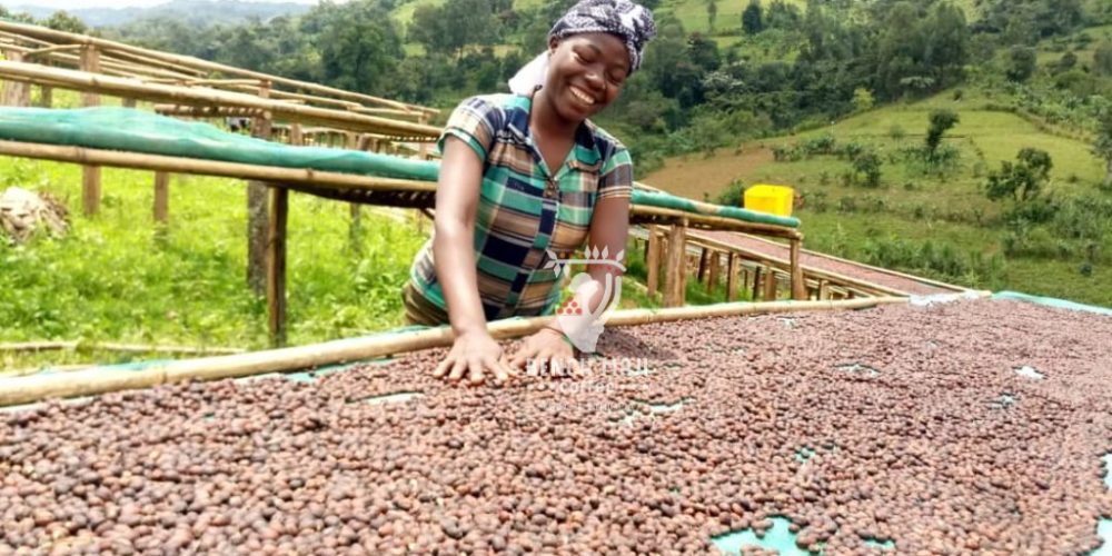 2019/2020 Harvest Season Has Started;