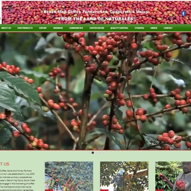 Bench Maji Coffee, Spice and Honey Farmers&#8217; Cooperative Union Launch Its New Website